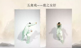 五禽戏教学视频完整版,完整版动作解析与养生秘诀